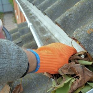 Gutter Cleaning service